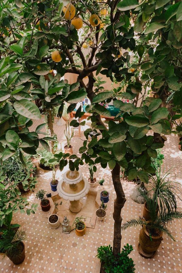 Riad Maison 24 Marrakesh Bagian luar foto
